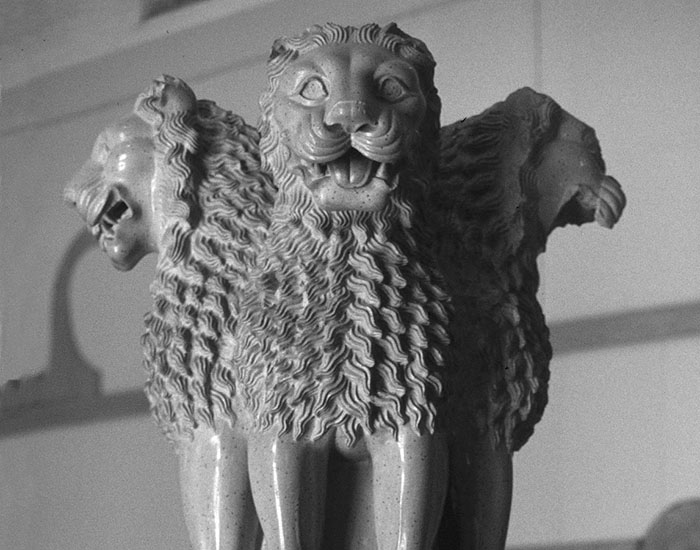 Lion Capital, Sarnath