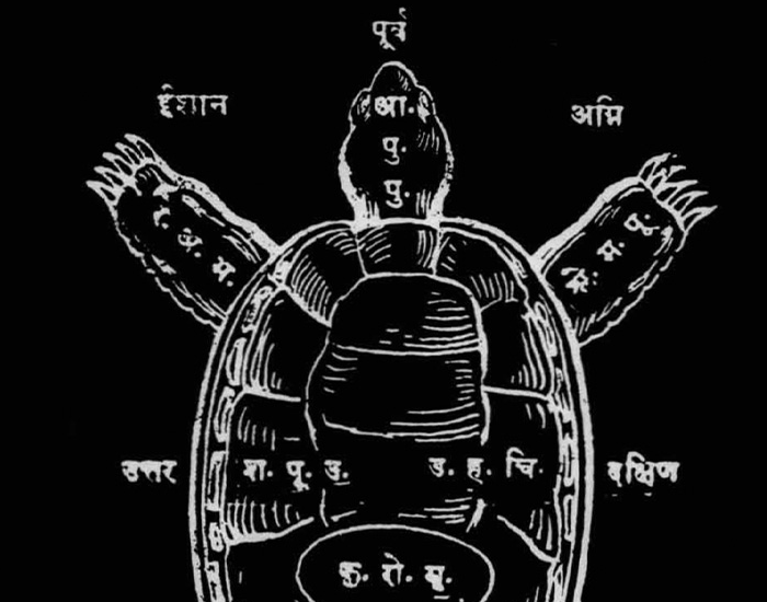 What Makes a Tortoise Representative of the Earth in Bhagavata Purana?