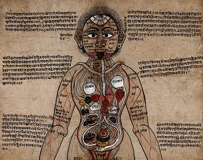 Painting or a Diagram? The Ayurvedic Man Explained