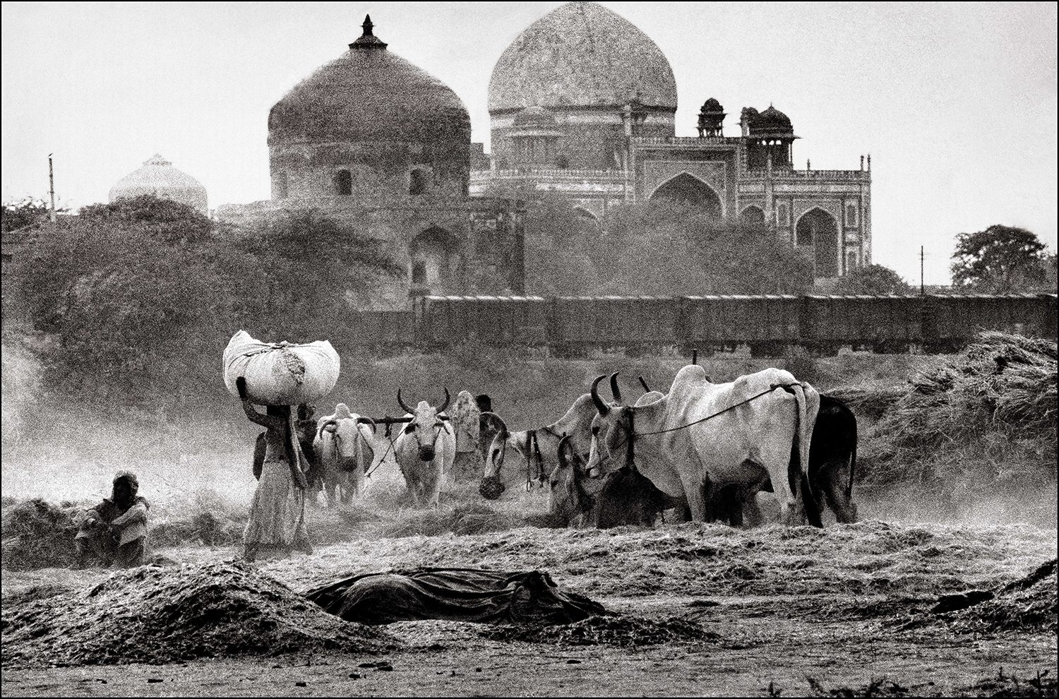 Archival photograph by Raghu Rai of farmers thrashing wheat with the Humayun's Tomb in Delhi in the backdrop