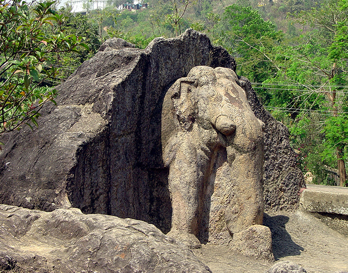 Dhauli Elephant 