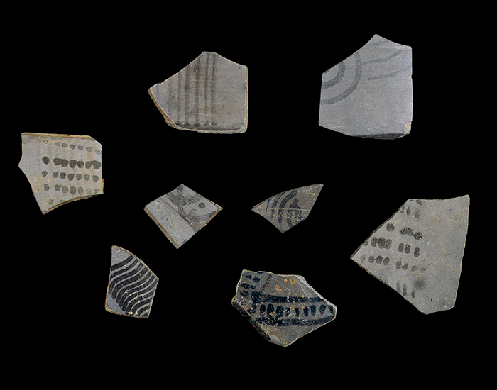 Painted Grey Ware Culture