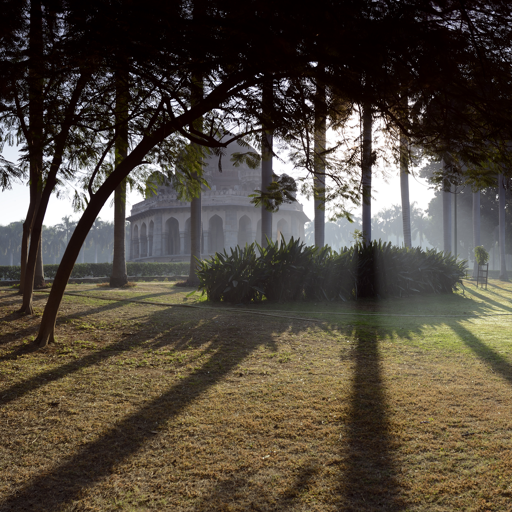 Lodi Gardens, New Delhi