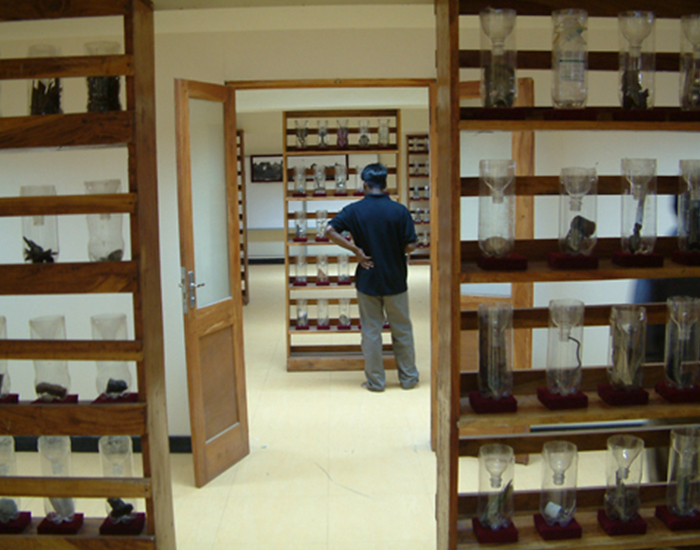 Theertha International Artists’ Collective