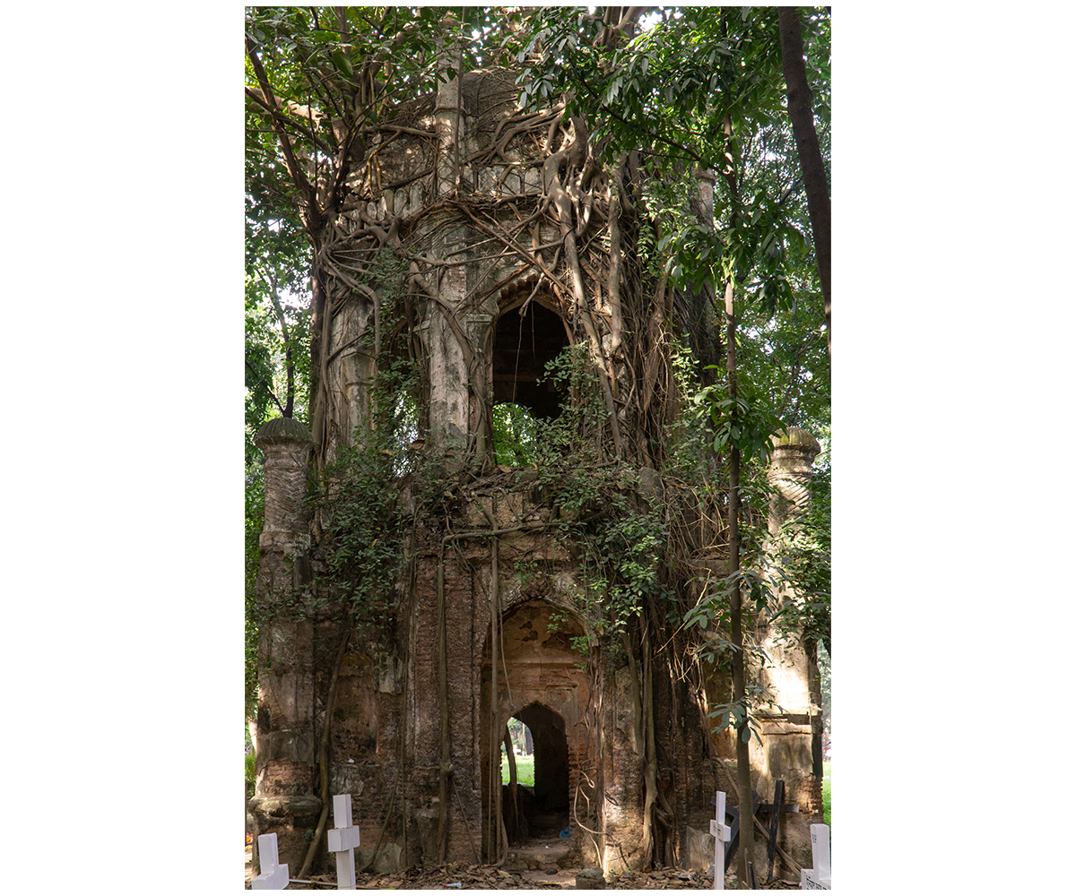 Photograph of Columbo Sahib tomb overgrown with vegetation, surrounded by other graves