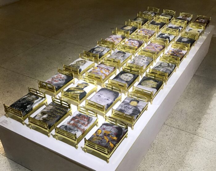 Artist Sheelasha Rajbhandari on Art and Activism