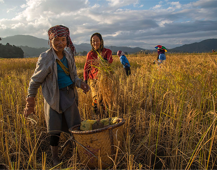 Tribal Design Forum's Sudhir John Horo on Reclaiming Indigenous Creativity