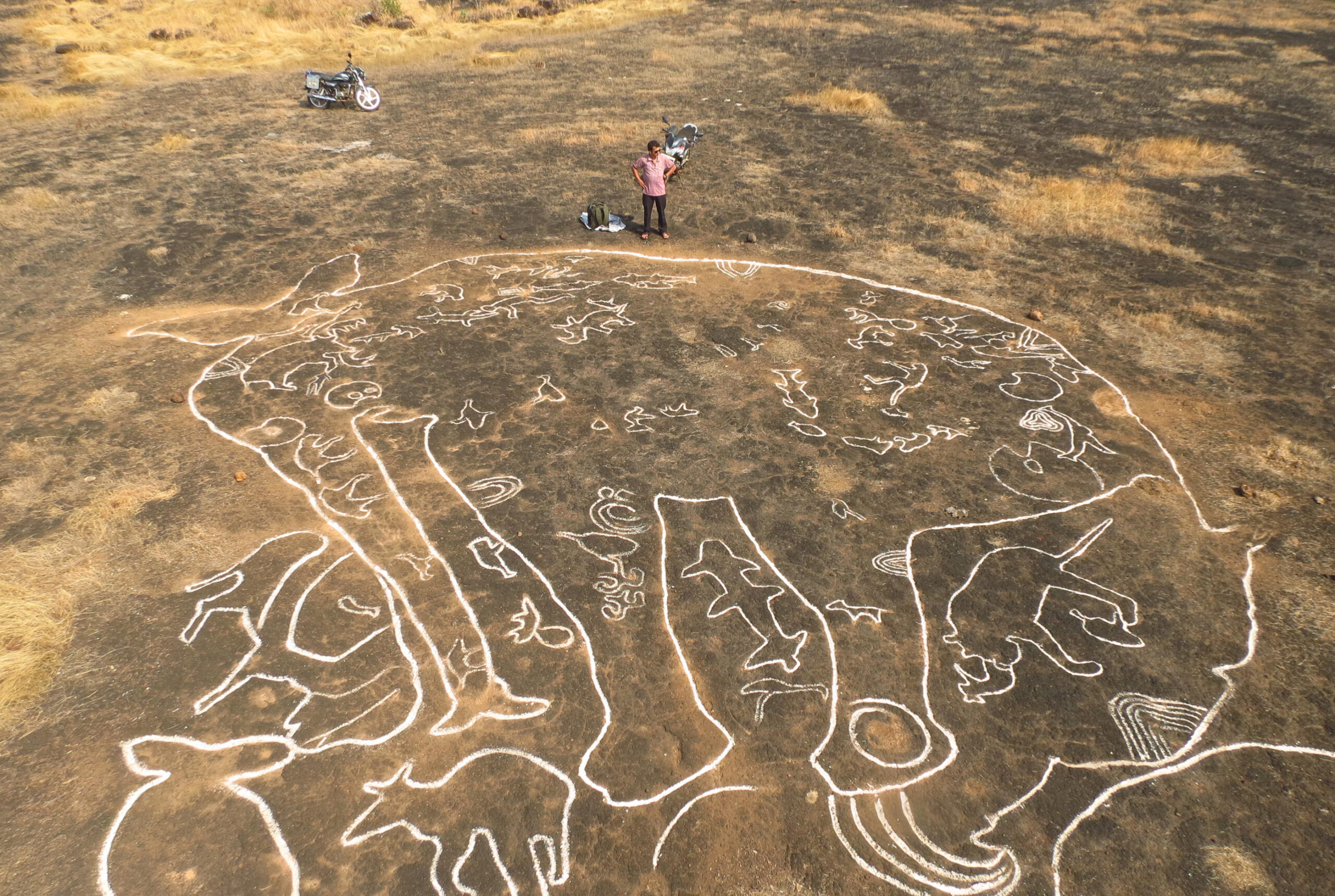 Photograph of an elephant petroglyph at Ukshi highlighted using chalk