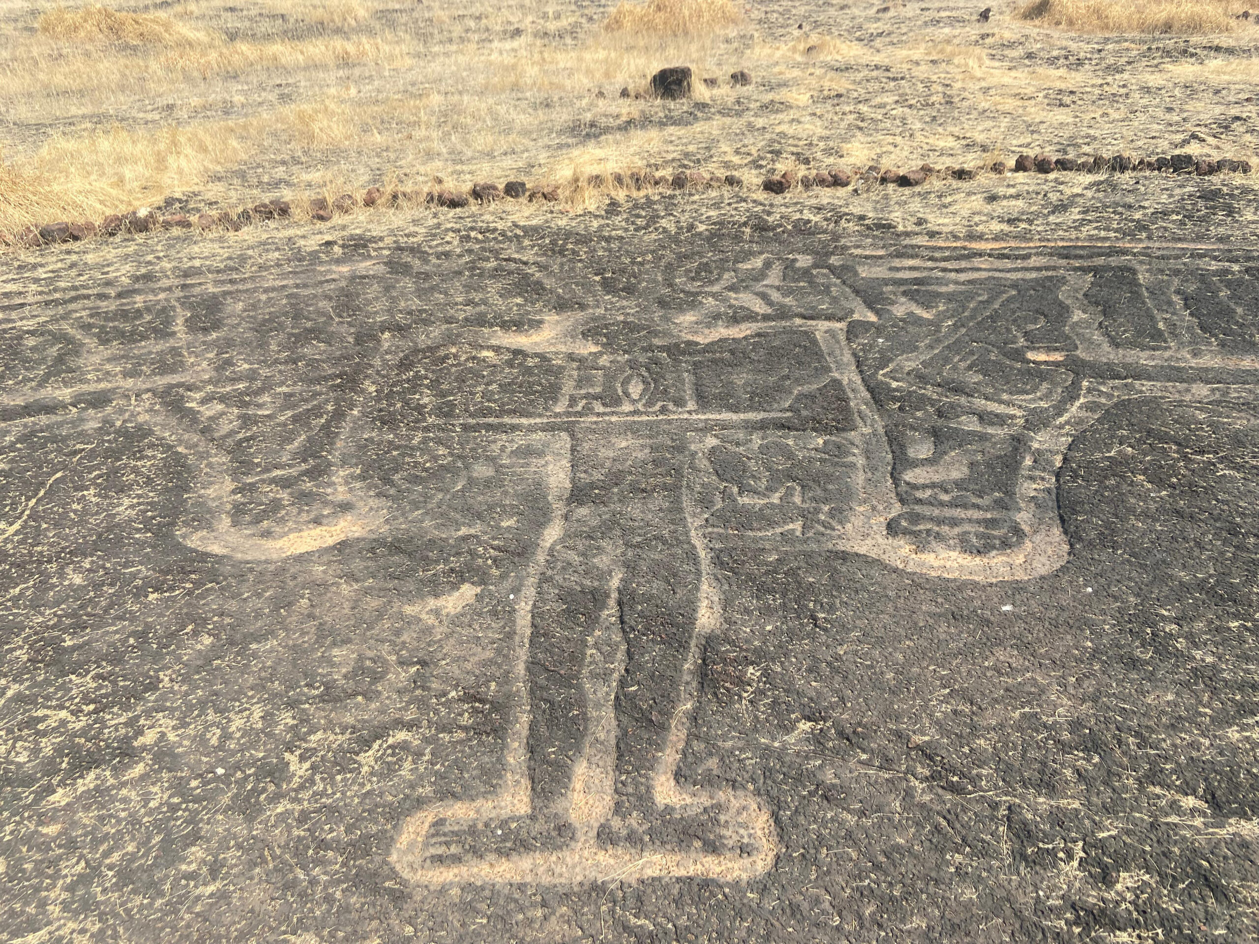 Photograph of petrogylph at Barsu showing a with tigers