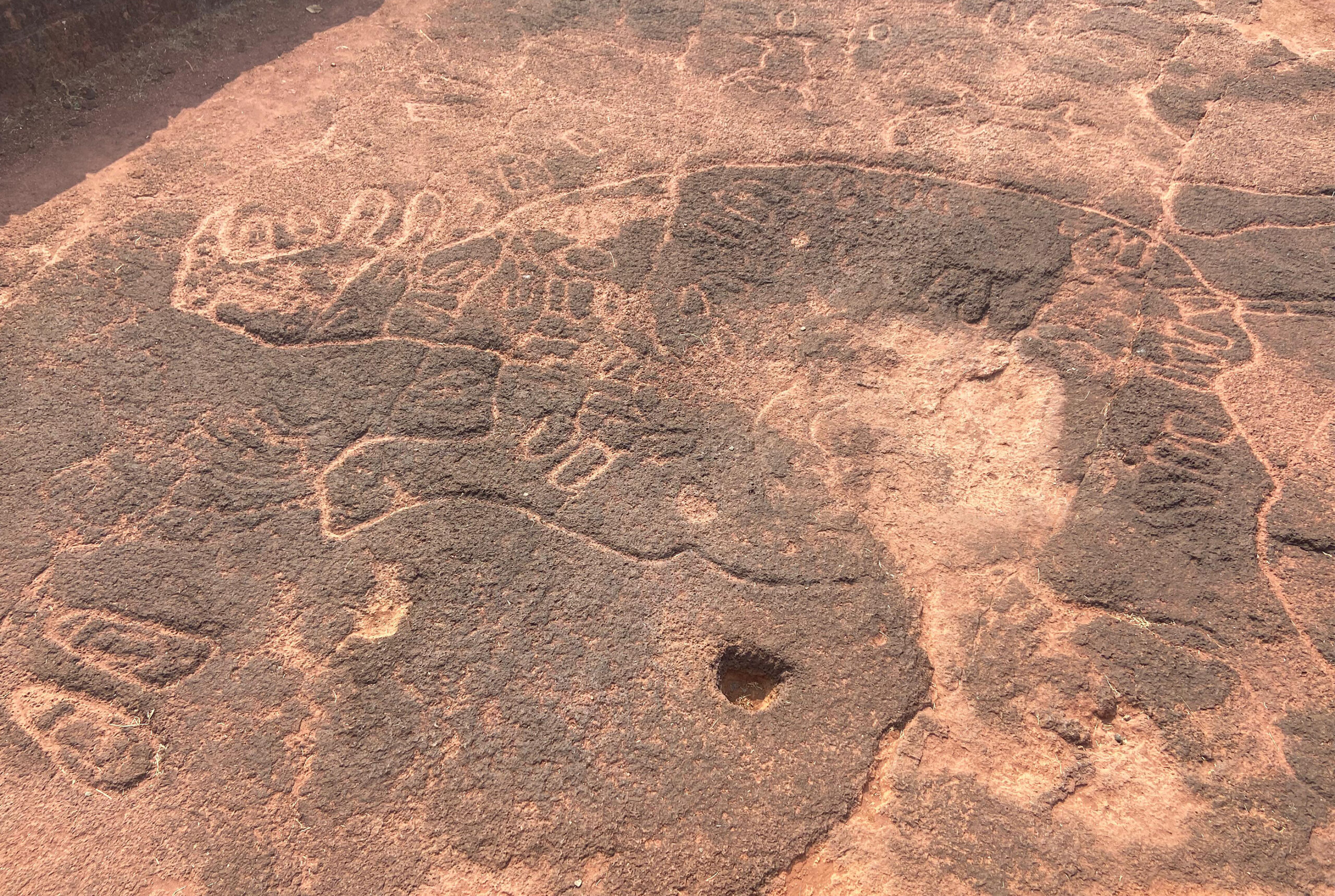 Photograph of petrogylph at Deud showing a rhiniceros