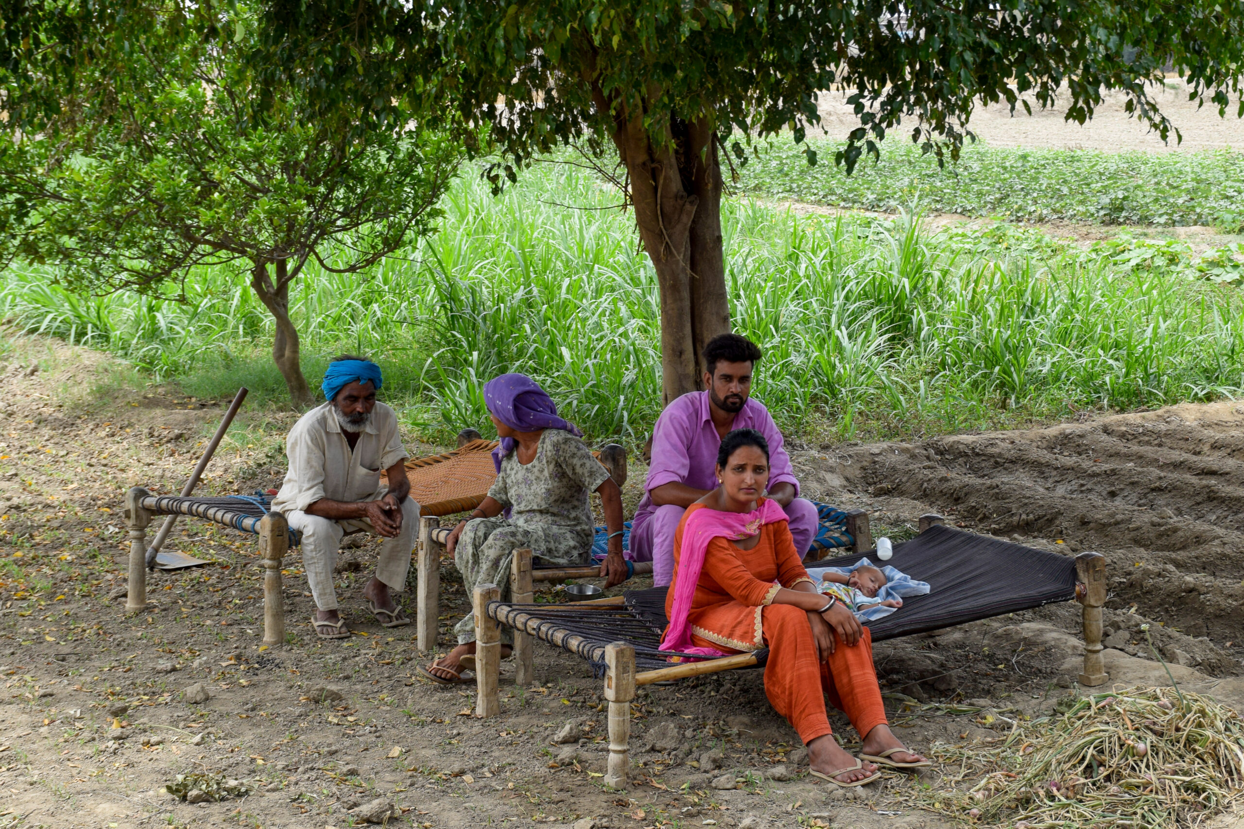 Photograph of a family resting on charpoys laid out under a tree