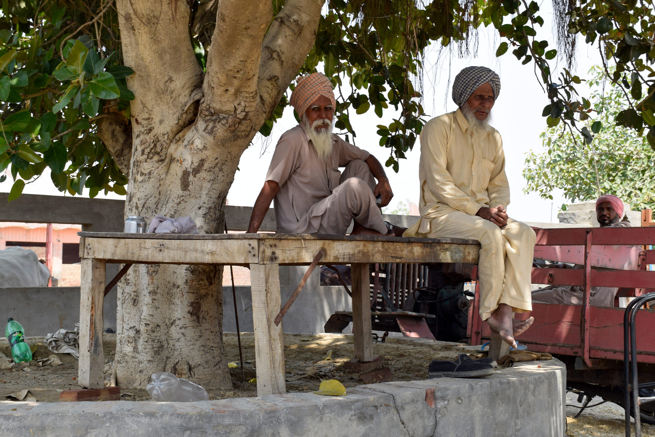 Photograph of two men resting on takhat placed under the shade of a tree