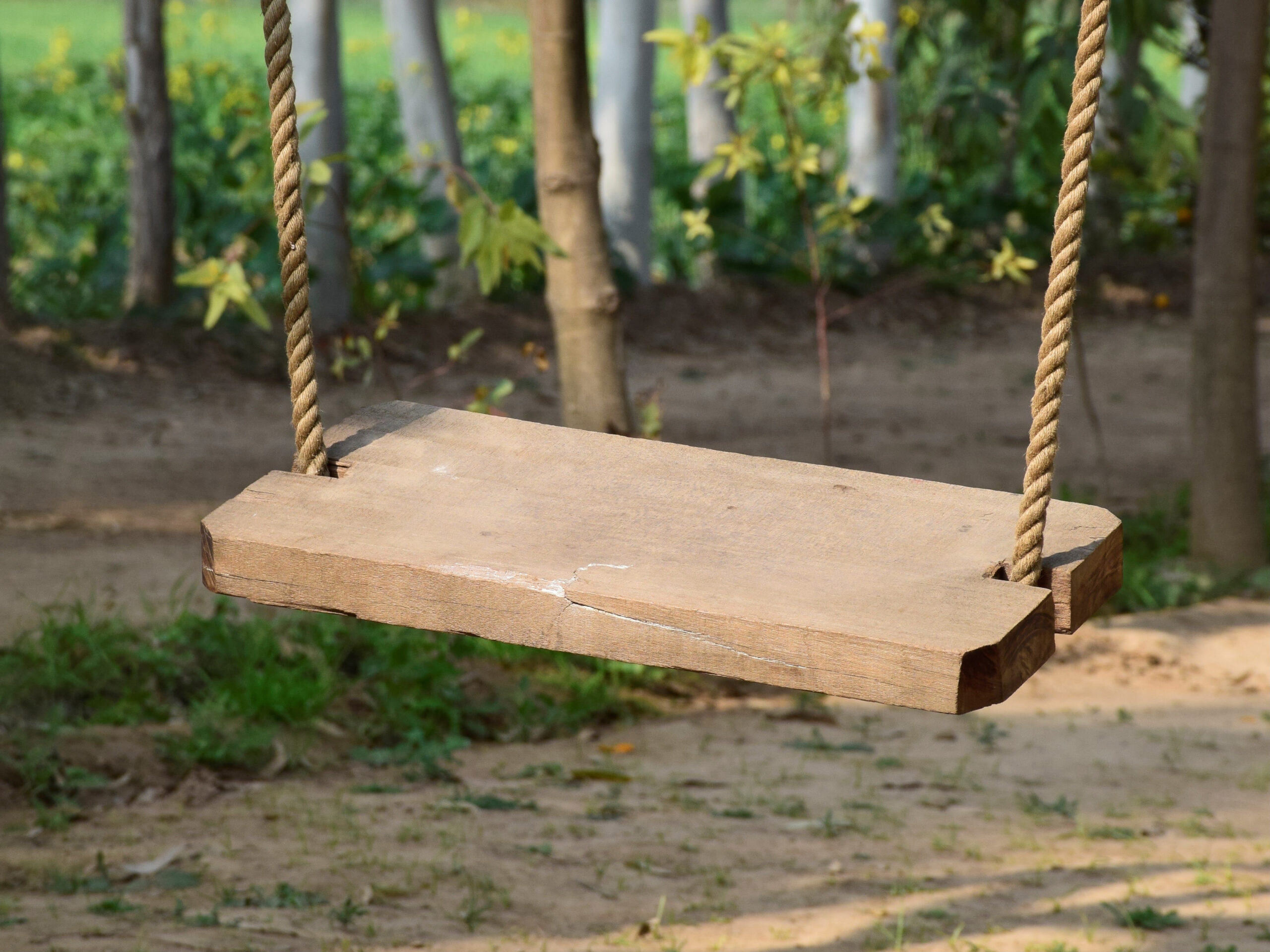Photograph of a small wooden slab swing from Punjab called peengh