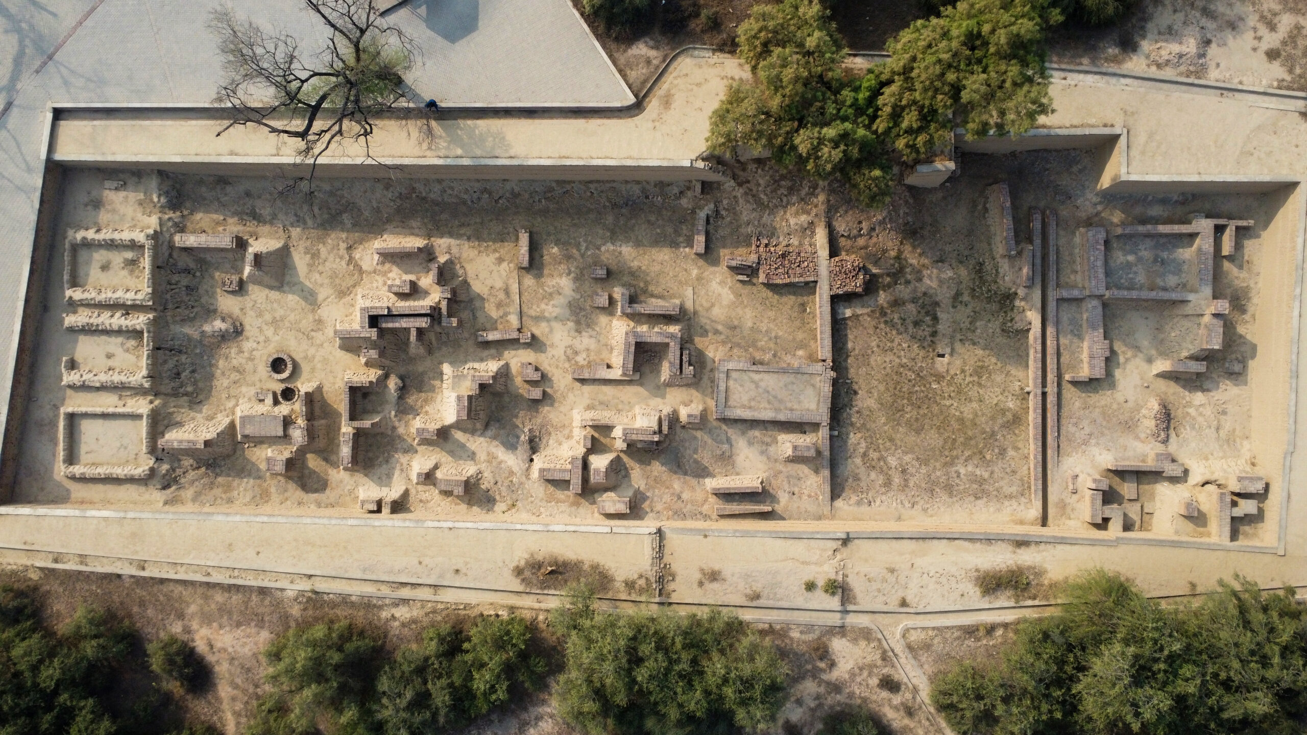 Photograph showing an aerial view of the ruins at mound F at Harappa
