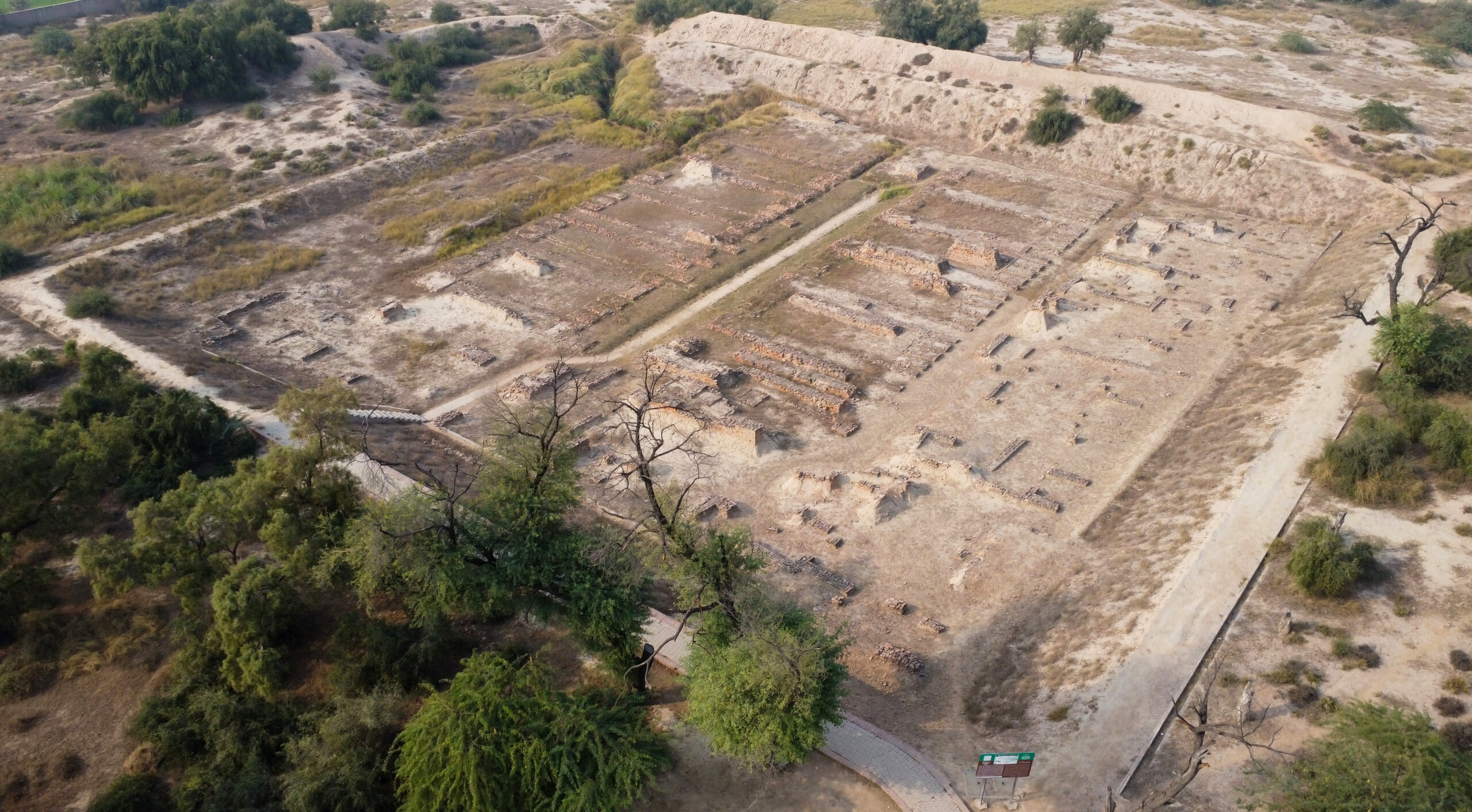 Photograph showing an aerial view of the ruins of the granary at Harappa