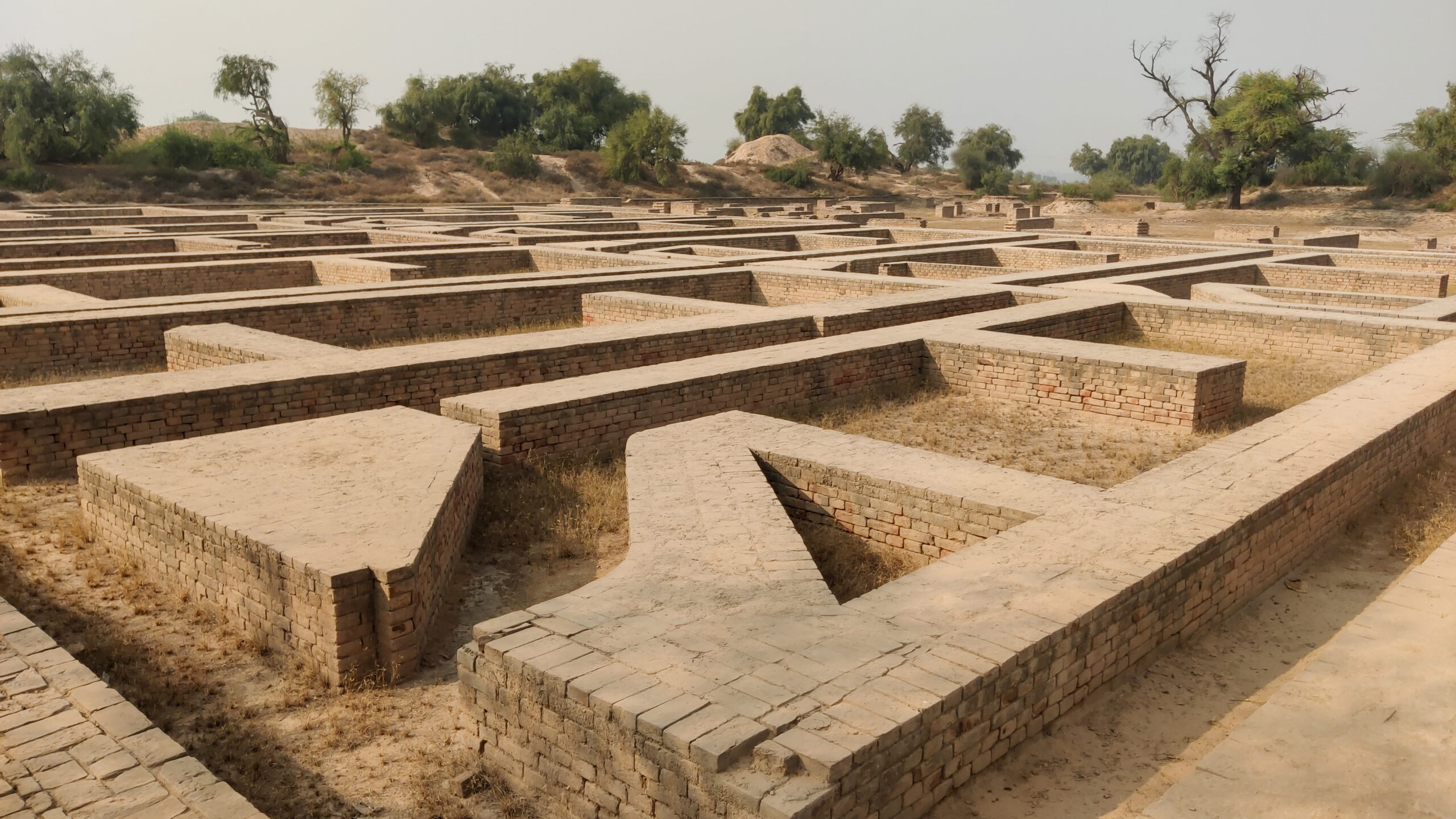 Photograph showing the ruins of houses on Mound F in Harappa