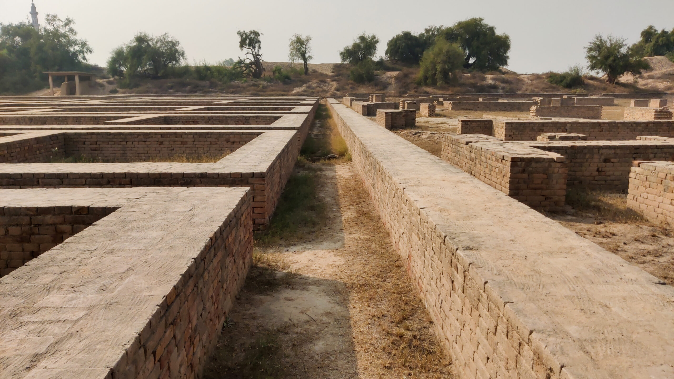 Photograph showing the ruins of houses on Mound F in Harappa