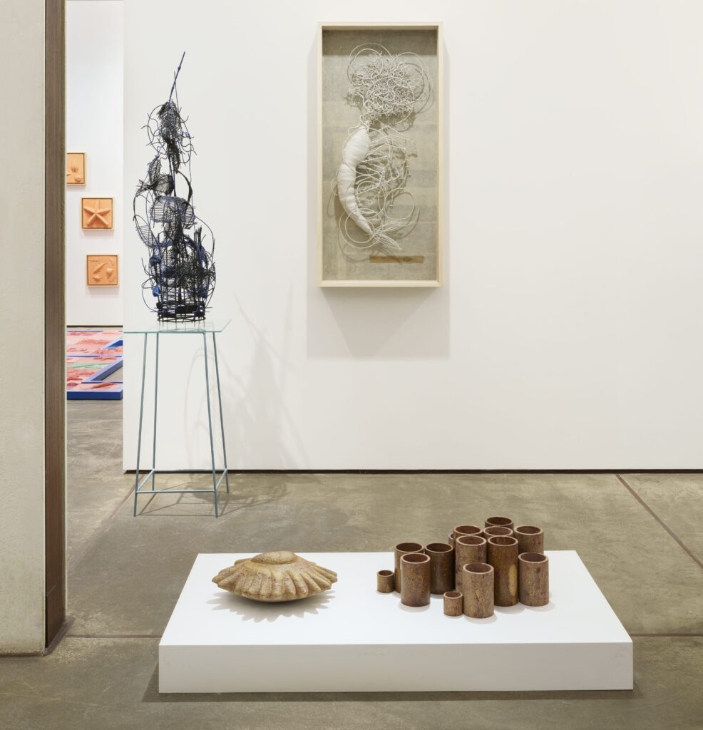 Parag Tandel's Salted Caviar exhibition
